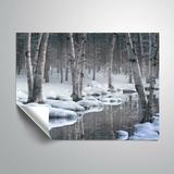 ArtWall Quiet Wall Mural Vinyl in Gray/White | 18 H x 24 W in | Wayfair 6Hun076a1824p