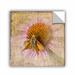 ArtWall Mealy Moth' by Ramona Murdock Removable Wall Decal in Brown/Pink/Yellow | 18 H x 18 W in | Wayfair 0rmu119a1818p