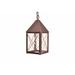 Longshore Tides Michaela 1 - Bulb 10.75" H Mains only Outdoor Hanging Lantern Brass/Copper in Brown | 10.75 H x 5 W x 5 D in | Wayfair