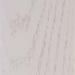 Loon Peak® Mcintosh 36" W Standard Bookcase Wood in White | 48 H x 36 W x 13 D in | Wayfair BD30B92AEB664B5D810ADD850E6D9638