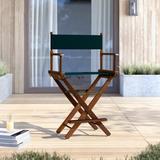 Latitude Run® Alyzon Folding Director Chair Solid Wood in Green | 39.25 H x 25 W x 19 D in | Wayfair 4A9EBB713DA543C9A3D117039F72A9A4