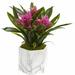 Bay Isle Home™ Bromeliad Desktop Foliage Plant in Vase Silk/Ceramic/Plastic | 11 H x 6 W x 6 D in | Wayfair 36D995845F0440FC998ABBB9663EE8C9