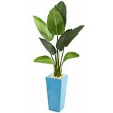 Bay Isle Home™ 40" Artificial Palm Tree in Planter Silk/Plastic in Green/Blue | 60 H x 24 W x 20 D in | Wayfair 321A438EAAE946E0B5241DEFD104AA70