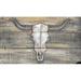 Millwood Pines Skull Wall Décor Metal in Brown/Gray/White | 20 H x 32 W in | Wayfair 100622EB02494FACA44C97651EF807C3