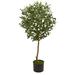 Fleur De Lis Living 36" Artificial Olive Tree in Planter Silk/Plastic | 42 H x 15 W x 15 D in | Wayfair EECBB43427764B3389CE8480CB494AAF
