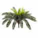 Bay Isle Home™ 13" Artificial Foliage Plant Silk/Plastic | 13 H x 22 W x 23 D in | Wayfair 6509E50E153F4E00A83C0833B763EAEF