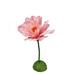 Northlight Seasonal 24" & Green Spring Floral Artificial Craft Stem Foam in Pink | 24 H x 4 W x 4 D in | Wayfair NORTHLIGHT SN37097