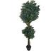 Red Barrel Studio® Floor Ficus Tree in Pot Plastic | 66.9 H x 9.5 W x 11.02 D in | Wayfair RDBT3132 41441620