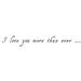 The Decal Guru I Love You Quote Wall Decal Vinyl in Gray | 3 H x 21 W in | Wayfair 1300-WALL-01-25