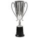 The Party Aisle™ Awards Night Trophy Cup Sculpture Plastic in Gray | 8.5 H x 2.5 W x 2.5 D in | Wayfair 3A0EE6EBEAE24B1F855CFBBDBFCF000E