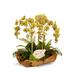 T&C Floral Company Orchid Centerpiece in Planter Faux Silk in Yellow | 26 H x 20 W x 15 D in | Wayfair F1417WG