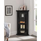 Charlton Home® Boivin Corner Curio Storage Cabinet w/ Glass Door, Black Wood in Black/Brown | 42 H x 22.5 W x 16 D in | Wayfair