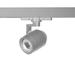 WAC Lighting Paloma Track Head in Gray | 5.125 H x 11.375 W x 3.25 D in | Wayfair WTK-LED512F-27-PT