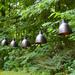 17 Stories Luisa Electric Café String Lights w/ 10 Brown Metal Domes in Black | 3 H x 134 W in | Wayfair 601E20258DDD4CFCAFBC6B34080F3891