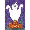 Toland Home Garden Halloween Buddies 28 x 40 inch House Flag, Polyester in Indigo | 40 H x 28 W in | Wayfair 1010460