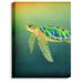 DiaNoche Designs 'Syndney Seaturtle' Graphic Art Print on Wrapped Canvas in Blue/Brown/Green | 20 H x 16 W x 1 D in | Wayfair