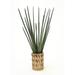 Distinctive Designs Sanseveria Floor Plant in Decorative Vase Earthenware | 40 H x 21 W x 21 D in | Wayfair 1910