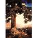 Buyenlarge 'Hilltop' by Maxfield Parrish Painting Print in Blue/Brown/Gray | 42 H x 28 W x 1.5 D in | Wayfair 0-587-16912-5C2842