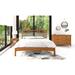Copeland Furniture Berkeley 6 Drawer 59" W Double Dresser Wood in Brown/Red | 35.25 H x 58.75 W x 20.25 D in | Wayfair 2-BER-60-33