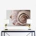 DecorumBY Sea Shell - Photograph on Paper Metal in Brown/White | 30 H x 40 W x 1.5 D in | Wayfair Nautical Art Sea Shell 30x40