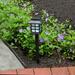 Darby Home Co Deb Black Window Solar Powered Ground Lights Plastic in Black/White | 15 H x 3.37 W x 3.37 D in | Wayfair