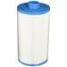 Smart Spa Freeflow Hot Springs Replacement Spa Filter in Blue/White | 10.5 H x 6 W x 6 D in | Wayfair HSAK-4301Single