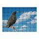 Bird Netting For the Garden 10m x 10m 28mm Anti Starling Knotted 1 1/8" Mesh Heavy Duty Black Net