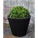 Brayden Studio® Rayburn Concrete Pot Planter Concrete in Green | 24 H x 48 W x 48 D in | Wayfair 6A8EEBC5274D4501869601C19F89DAE4