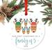 The Holiday Aisle® Our First Christmas As A Family Of Five 2018 Holiday Reindeer Snowflakes Ball Ornament in Brown/White | 3.5 H x 3.5 W in | Wayfair