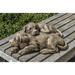 Red Barrel Studio® Elivra Nap Time Puppies Statue Concrete in Brown | 5.75 H x 12.5 W x 17.5 D in | Wayfair 3A710406F0A64BA5964FD4FD9374C7F3