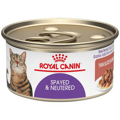 Royal Canin Feline Health Nutrition Spayed/Neutered Thin Slices In Gravy Canned Cat Food, 3 oz., Case of 24