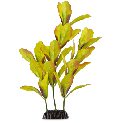 Imagitarium Water Colors Foreground Aquarium Plant, Small