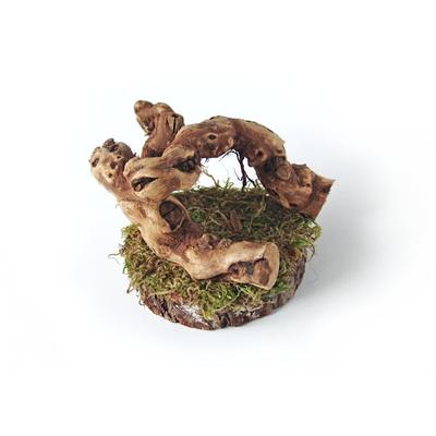 Mac's Creations Reptile Tree, Medium