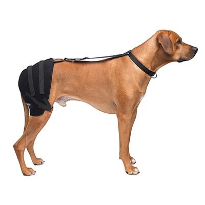 Caldera Hot & Cold Therapy Wrap with Gel for Dogs Hip, Large