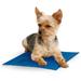 Cooling Pad for Dogs, 11"L X 15"W, Small, Blue