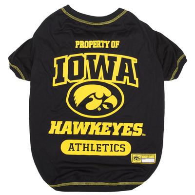 NCAA BIG 10 T-Shirt for Dogs, Large, Iowa, Blue
