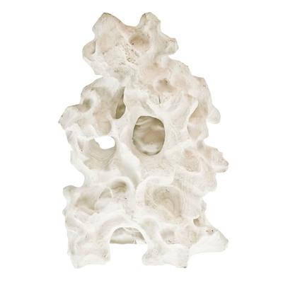 Holey Rock