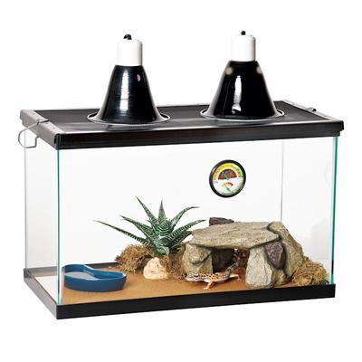 Zilla Desert Starter Kit, 10 Gal
