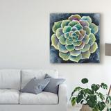 Bungalow Rose 'Succulent Rosette II' Painting on Wrapped Canvas in Black | 35 H x 35 W x 2 D in | Wayfair 5C43DF41DD23494DBBBDB1787472660D