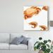 Breakwater Bay 'Illustrated Crab' Painting on Wrapped Canvas in Black | 35 H x 35 W x 2 D in | Wayfair 79DF744F86E64C36A28F690820B5EE36