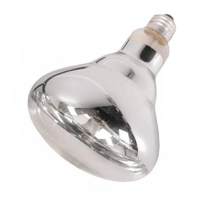 GE 48069 - 125R40/1 Heat Lamp Light Bulb