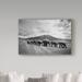 World Menagerie 'Stay in Line' Photographic Print on Wrapped Canvas in Black/White | 16 H x 24 W x 2 D in | Wayfair