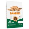 IAMS Advanced Nutrition Adult Cat con Agnello - Set %: 2 x 10 kg