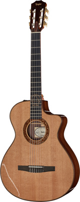 Taylor Jason Mraz Signature