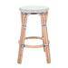 Bayou Breeze Tawanna Bistro Backless 30.5" Bar Stool Plastic/Acrylic/Wicker/Rattan in Blue/Brown/White | Counter Stool (26.5" Seat Height) | Wayfair