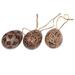 The Holiday Aisle® 3 Piece Kawung Eggs Batik Wood Holiday Shaped Ornament Set Wood in Brown, Size 2.8 H x 2.0 W x 0.2 D in | Wayfair