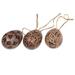 The Holiday Aisle® 3 Piece Kawung Eggs Batik Wood Holiday Shaped Ornament Set Wood in Brown | 2.8 H x 2 W x 0.2 D in | Wayfair