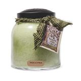 Winston Porter Sage & Citrus Scented Jar Candle Paraffin in Green | 5 H x 5 W x 5 D in | Wayfair E02DCF8D2E1A45848DE35EF2EF176461