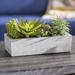 Primrue Floor Succulent Plant in Concrete Planter Silk/Plastic/Stone in Gray | 6.5 H x 12.75 W x 8.5 D in | Wayfair