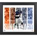 Mike Singletary Chicago Bears Framed 15" x 17" Player Panel Collage